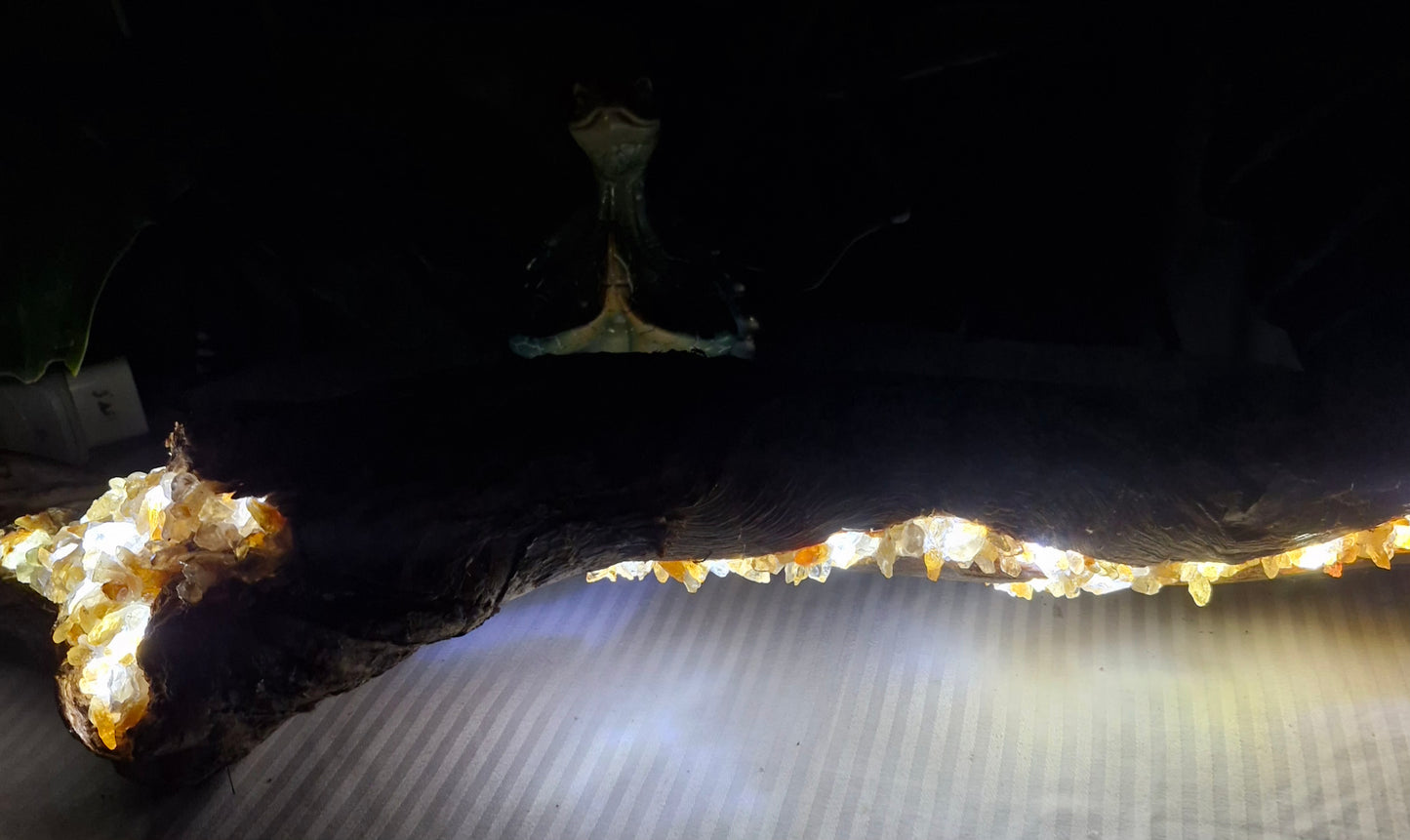 Handcrafted Driftwood Citrine Lamp