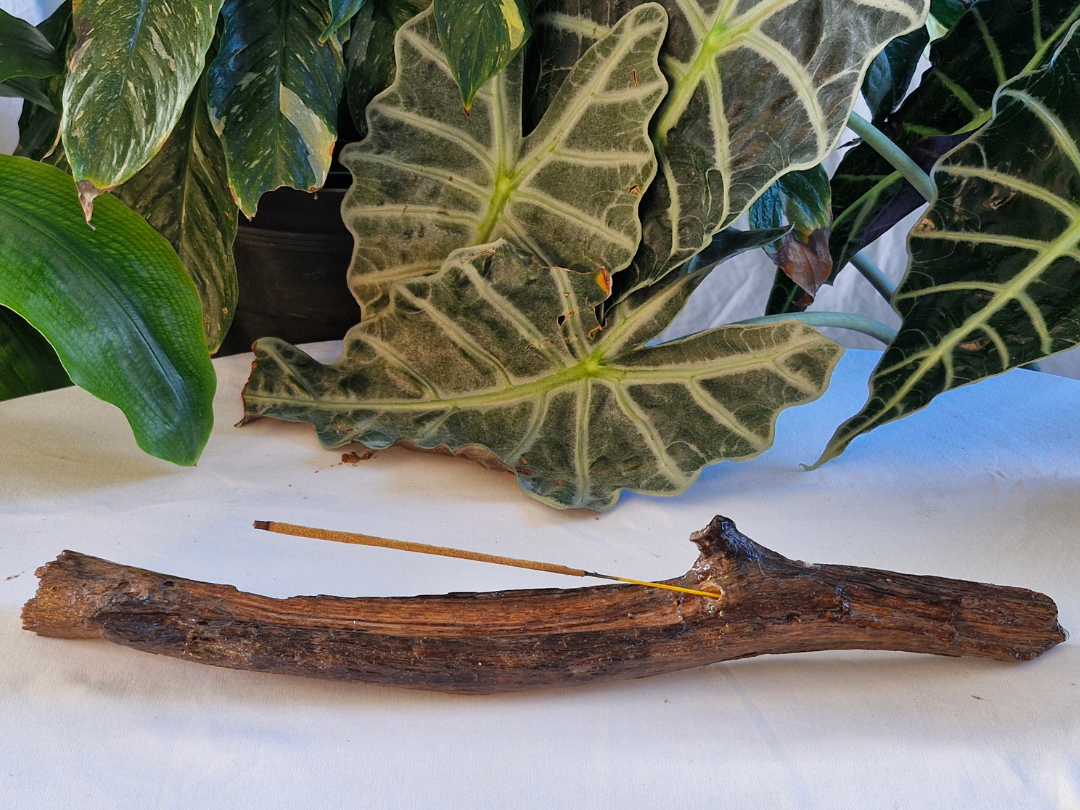 Assorted Medium Driftwood Incense Burner