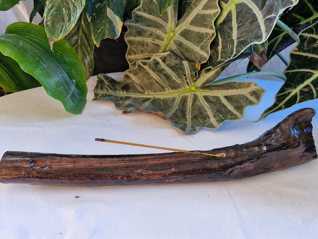 Assorted Medium Driftwood Incense Burner