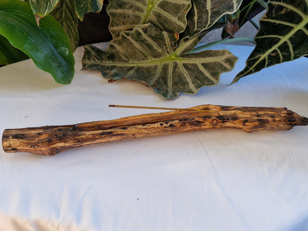Assorted Medium Driftwood Incense Burner