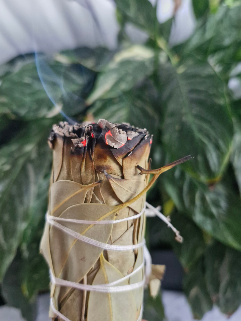 Smudge Sticks Eucalyptus
