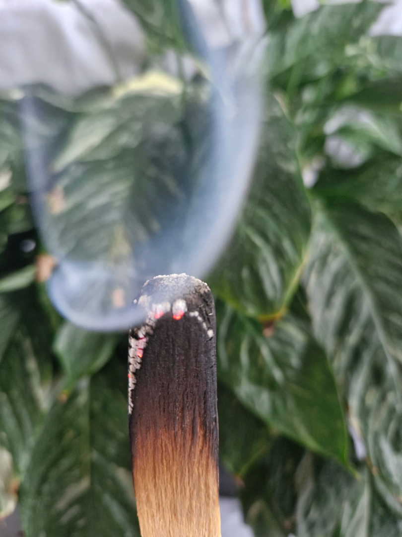 Smudge Palo Santo
