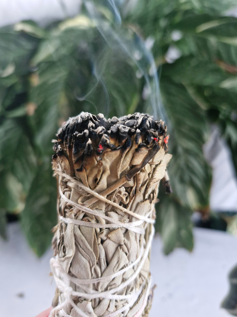 Smudge Sticks White Sage