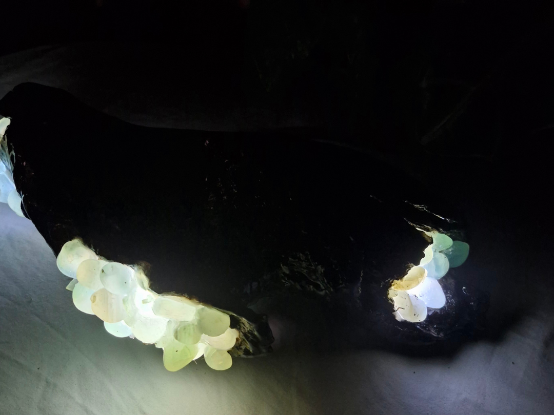 Handcrafted Driftwood Green Onyx Lamp