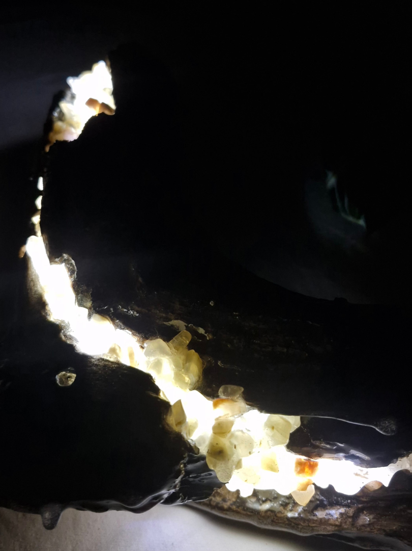 Handcrafted Medium Moonstone Driftwood Lamp