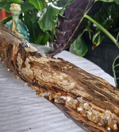 Handcrafted Driftwood Citrine Lamp