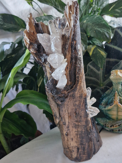 Handcrafted Medium Stand Up Driftwood Lamp with Clear Quartz